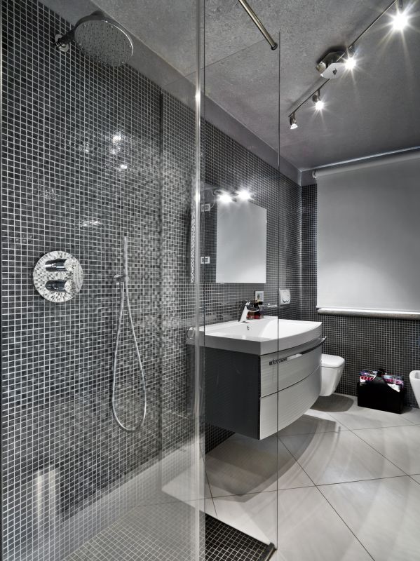 Rainfall Showerhead in a Contemporary Bathroom